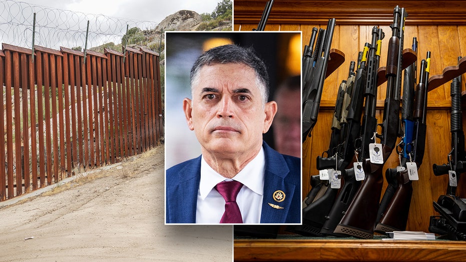 GOP lawmaker unveils effort to ban illegal immigrants from using IDs to buy guns thumbnail