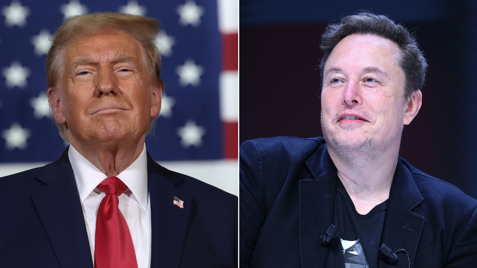 ‘If you don’t answer … you’re fired’: Trump stands behind Musk’s DOGE productivity email