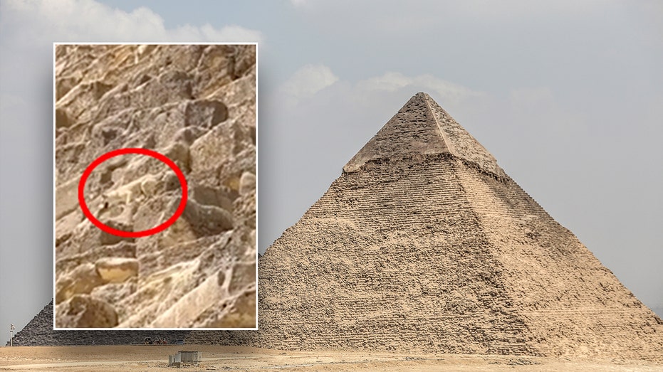 WATCH: Daring dog spotted on top of Egypt's Great Pyramid makes expert descent as onlookers gaze in amazement