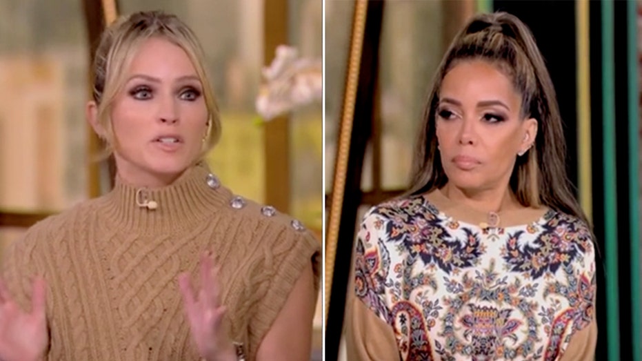 ‘The View’ co-hosts disagree over whether Harris is running a ‘flawless’ campaign after media blitz