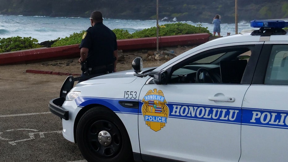 Hawaiian fast-food worker fatally stabbed during altercation with customer: reports thumbnail