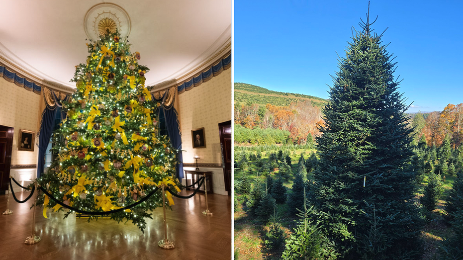 White House selects North Carolina family’s Christmas tree farm to provide 2024 tree