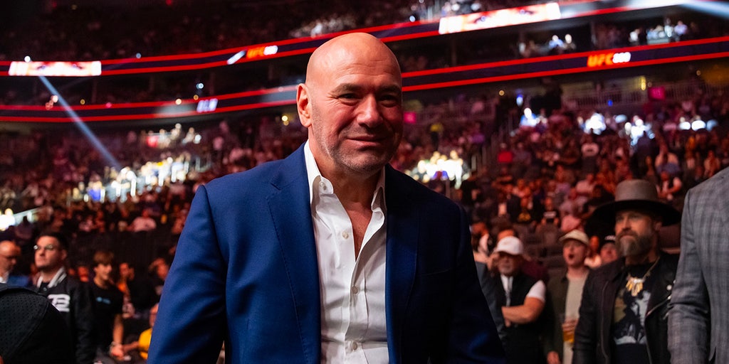 UFC President Dana White done with politics for good after Trump victory: 'It's disgusting'