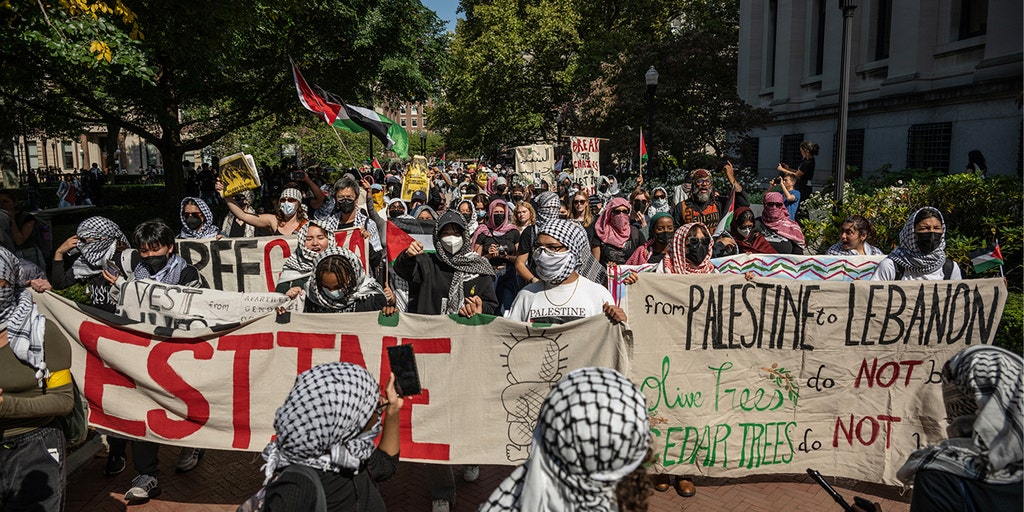 Pro-Palestinian protesters plan anti-Veterans Day gathering at Columbia University: 'DISGUSTING'