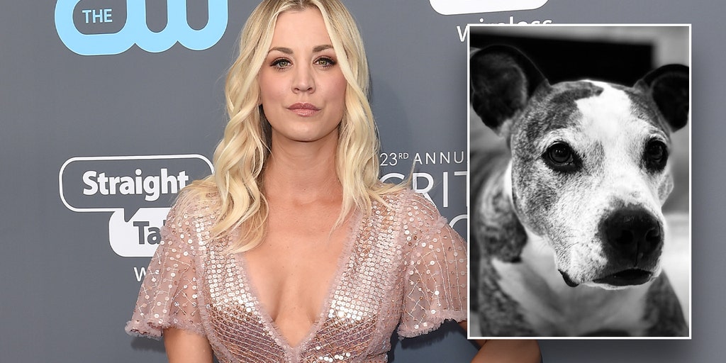 Kaley Cuoco made 'excruciating decision' to rehome her dog after 'mega fights' with fiancé's pet