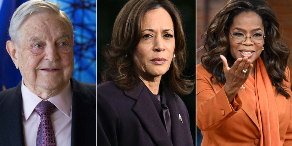 Top 5 biggest political turkeys ripped by conservatives in 2024
