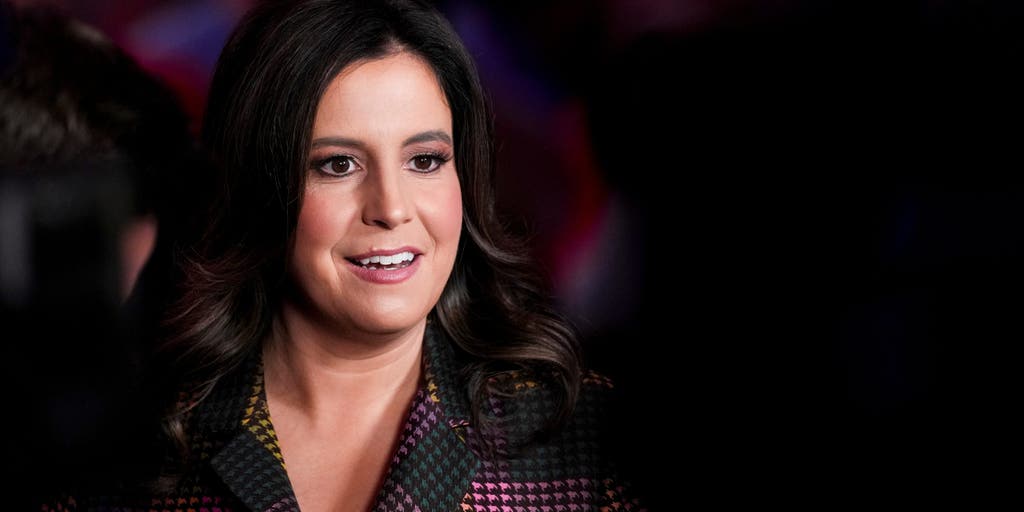 Who could run to replace Stefanik in the House?