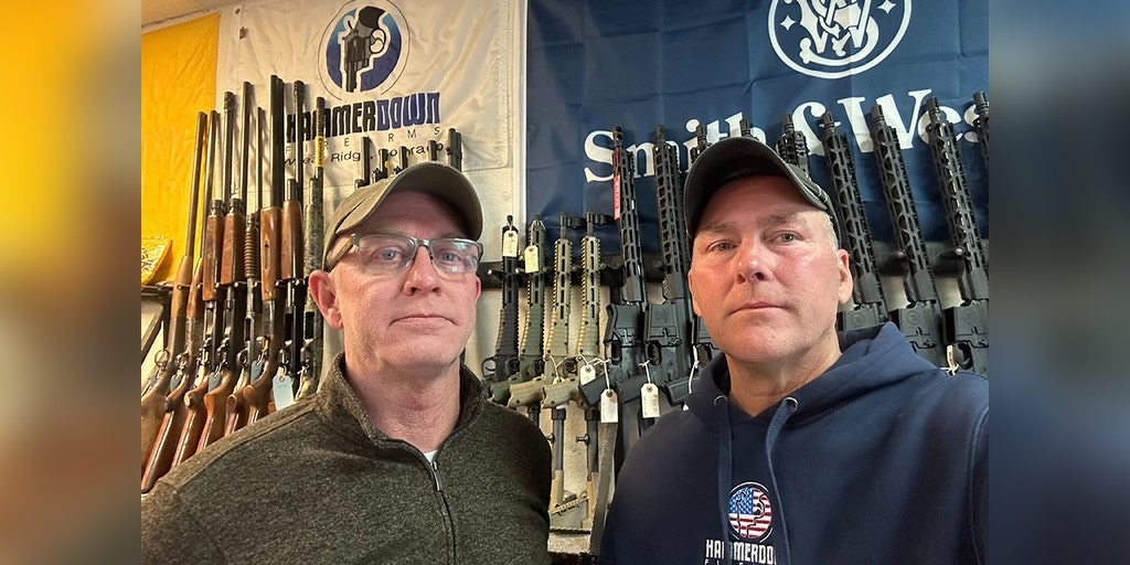 Blue state gun crackdown called out as threat to law-abiding owners