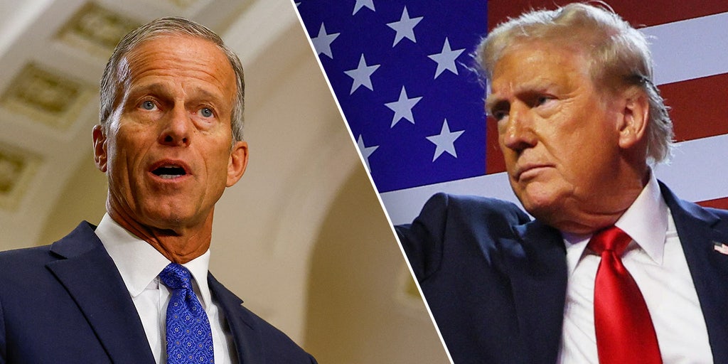 SEN JOHN THUNE: First 100 days of GOP Senate majority has accomplished much, and here's what is coming next