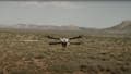 Image of Bolt drone - Fox News