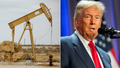 President-elect Trump has vowed to unleash American energy - Fox News