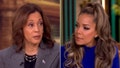 Kamala Harris couldn't think of something she'd do differently from Joe Biden's first term when first asked on "The View" on Oct. 8, 2024. - Fox News