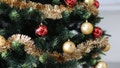 Christmas trees that cater to different tastes and budgets. - Fox News