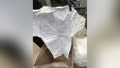 A British university student was caught at Los Angeles International Airport allegedly attempting to smuggle 13 white t-shirts soaked with methamphetamine. - Fox News