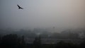 Traffic passes by on a road as the sky is enveloped with smog after Delhis air quality was classified as "hazardous" amidst severe air pollution, in New Delhi, India, November 14, 2024. - Fox News