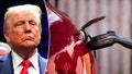 Trump's cut to Biden's EV tax credit, backed by Musk, may impact auto industry, experts say - Fox News