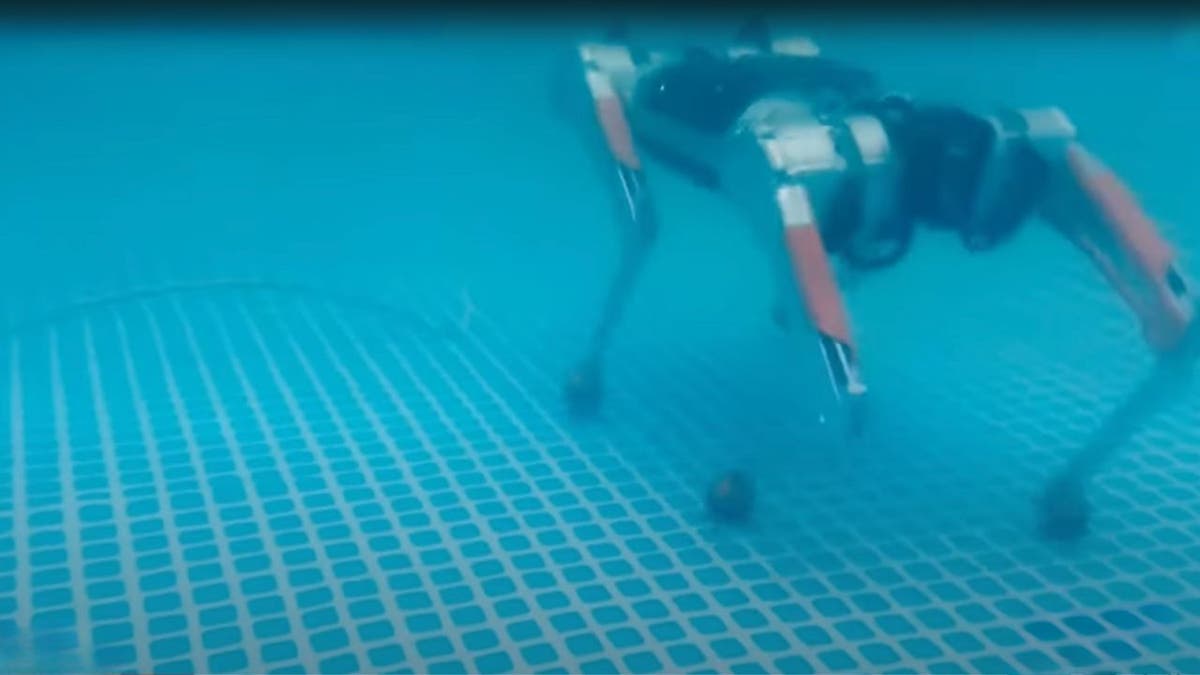 Robot dog is making waves with its underwater skills