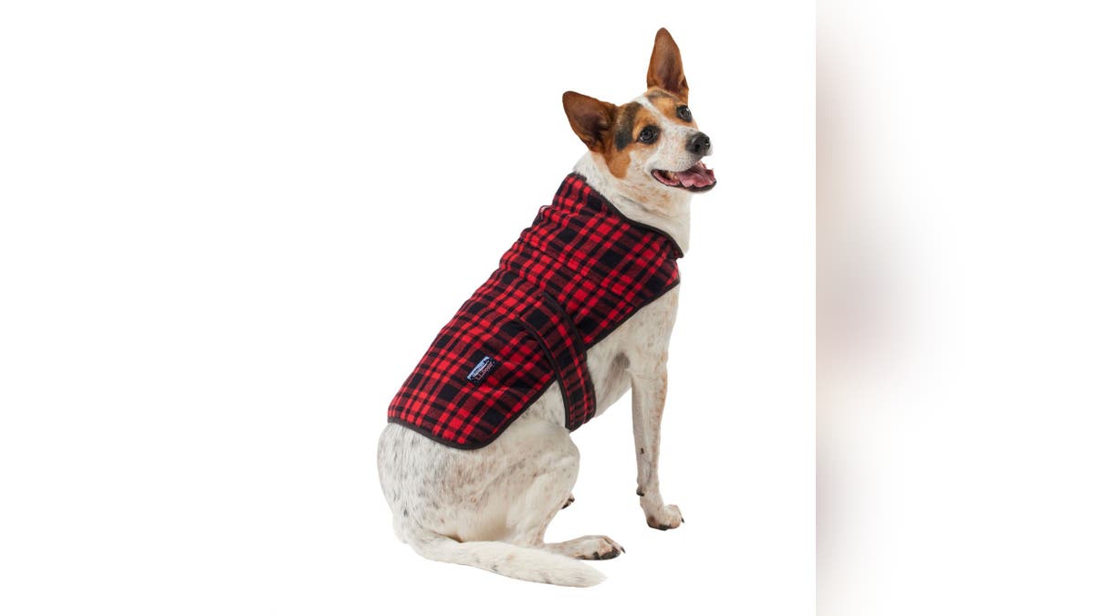 Turn your dog into an outdoor adventurer with this L.L. Bean jacket.?
