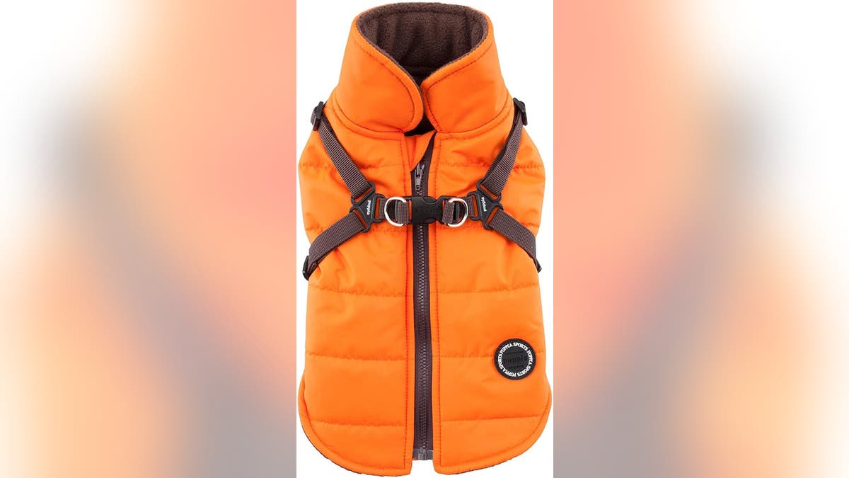 A highly visible jacket with a harness built in.?