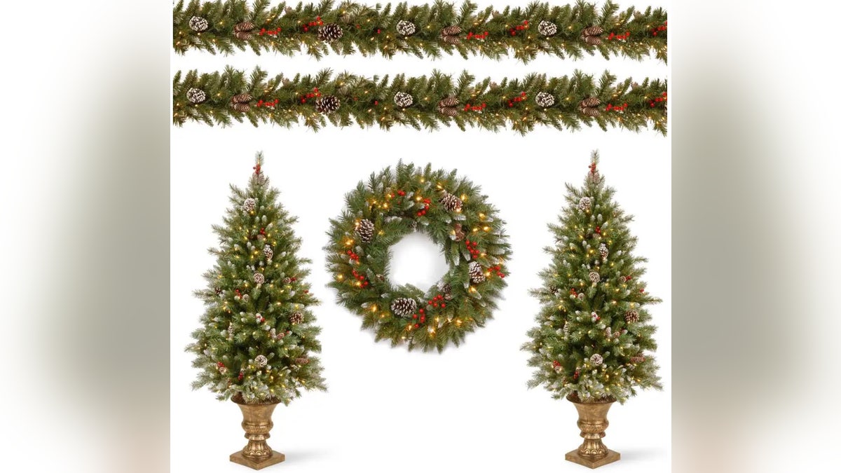 Outdoor trees offer a festive choice for a porch or yard.