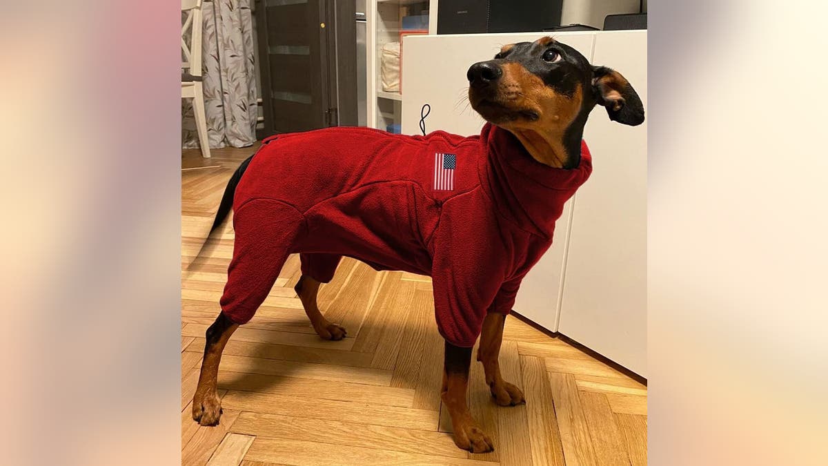 A full body fleece that'll keep your dog toasty.?