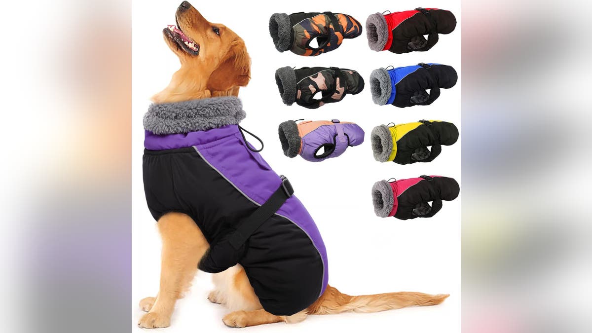 Your dog can stay outside for hours with this jacket.?