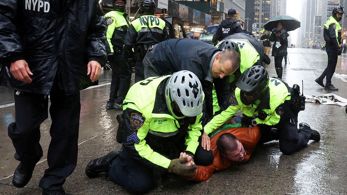 The police arrested the protester