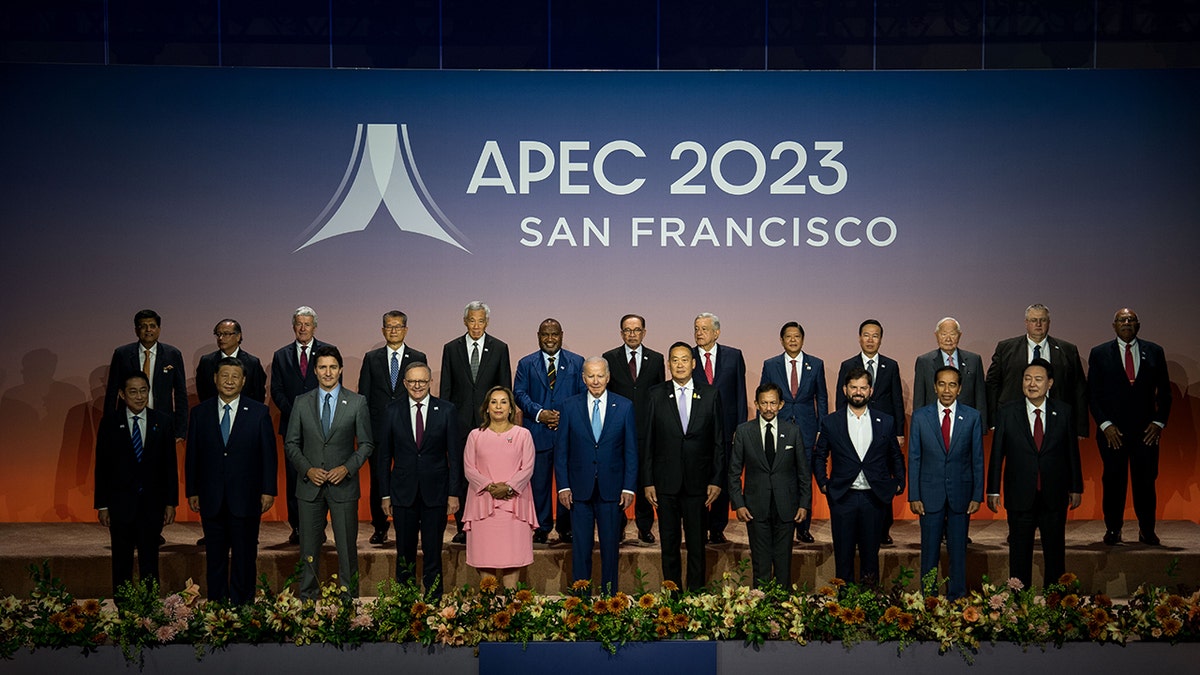 Biden relegated to back of APEC family photo with Xi Jinping in front ...