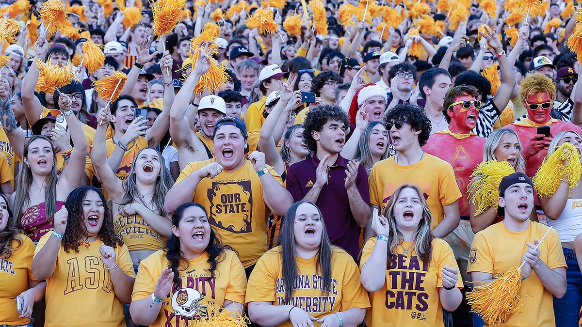 arizona authorities   fans successful  stands