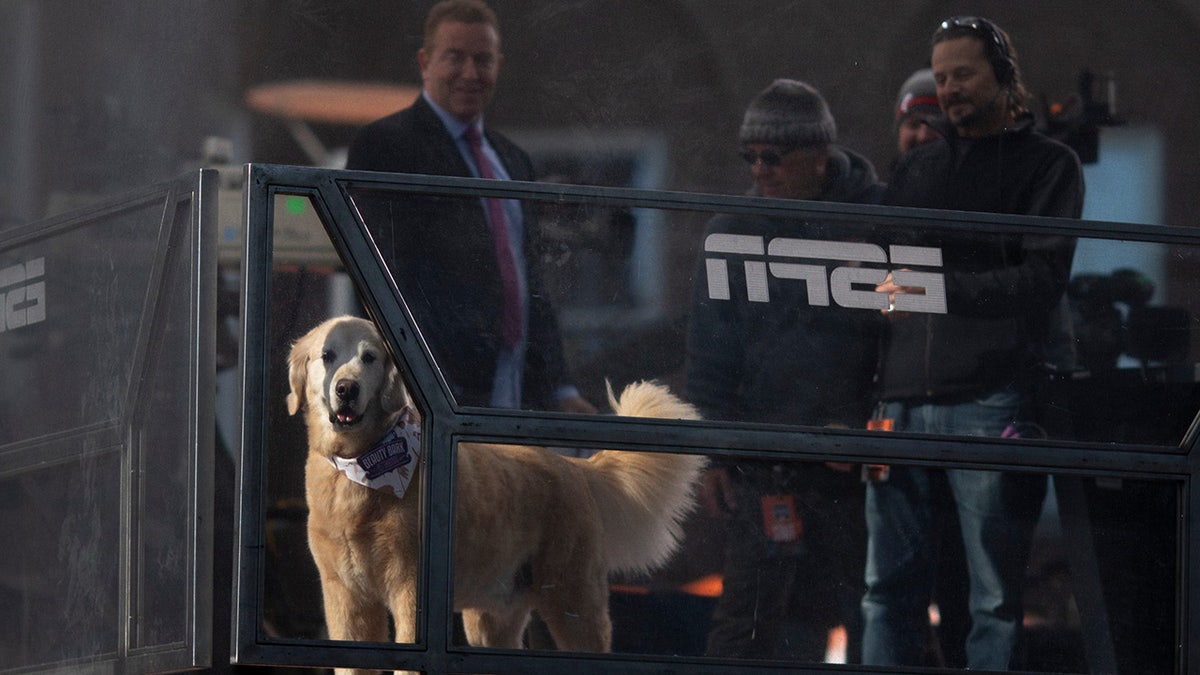 ESPN Star Kirk Herbstreit Announces Death Of Beloved Dog Ben Following ...