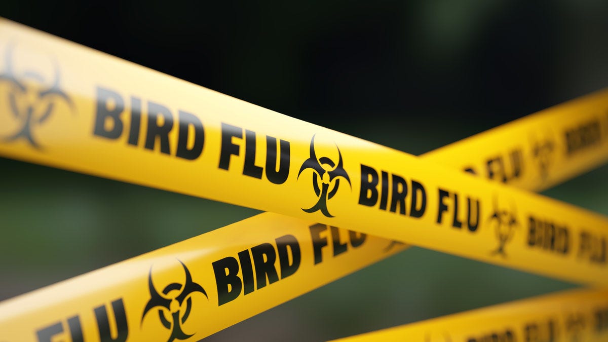 Bird flu emergency tape