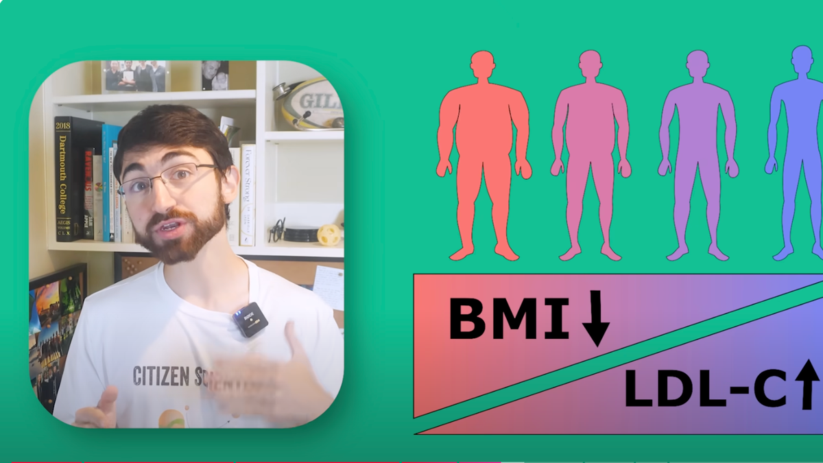 BMI LDL