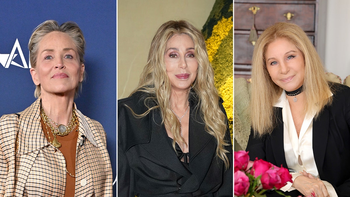 cher sharone stone barbra streisand