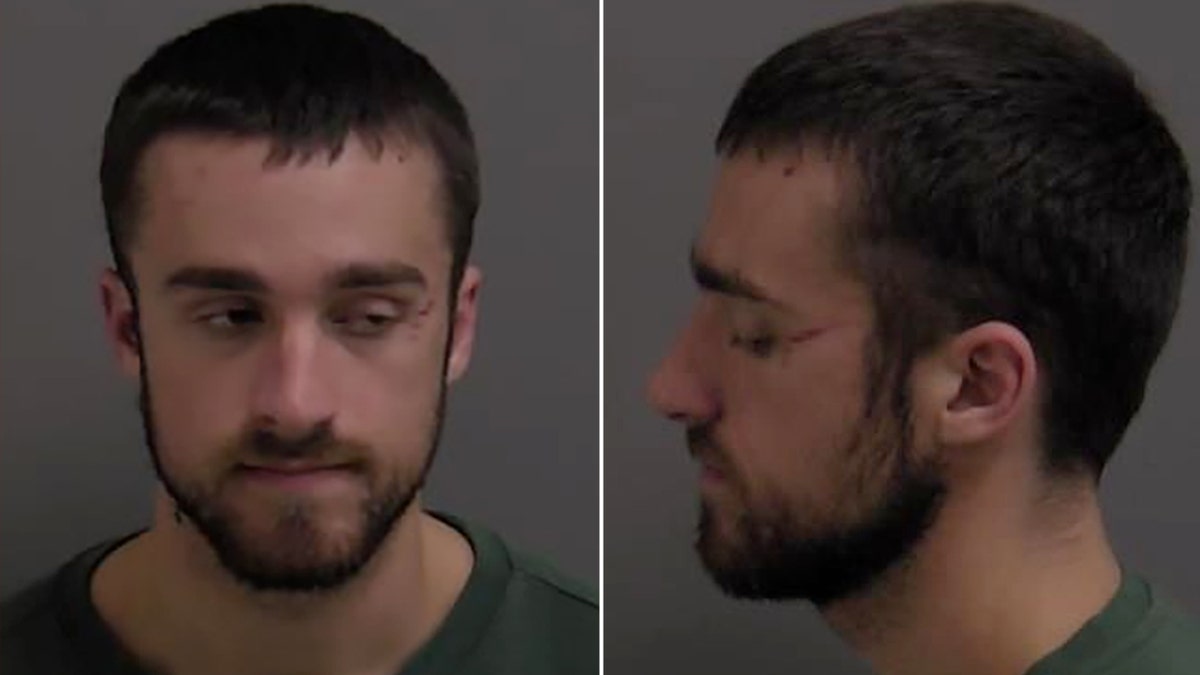 Daniel Schmidt mugshots