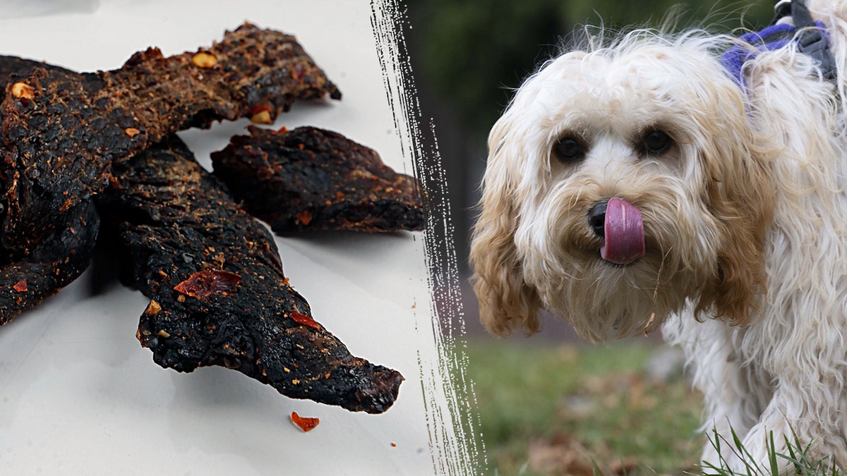 Jerky/dog side-by-side