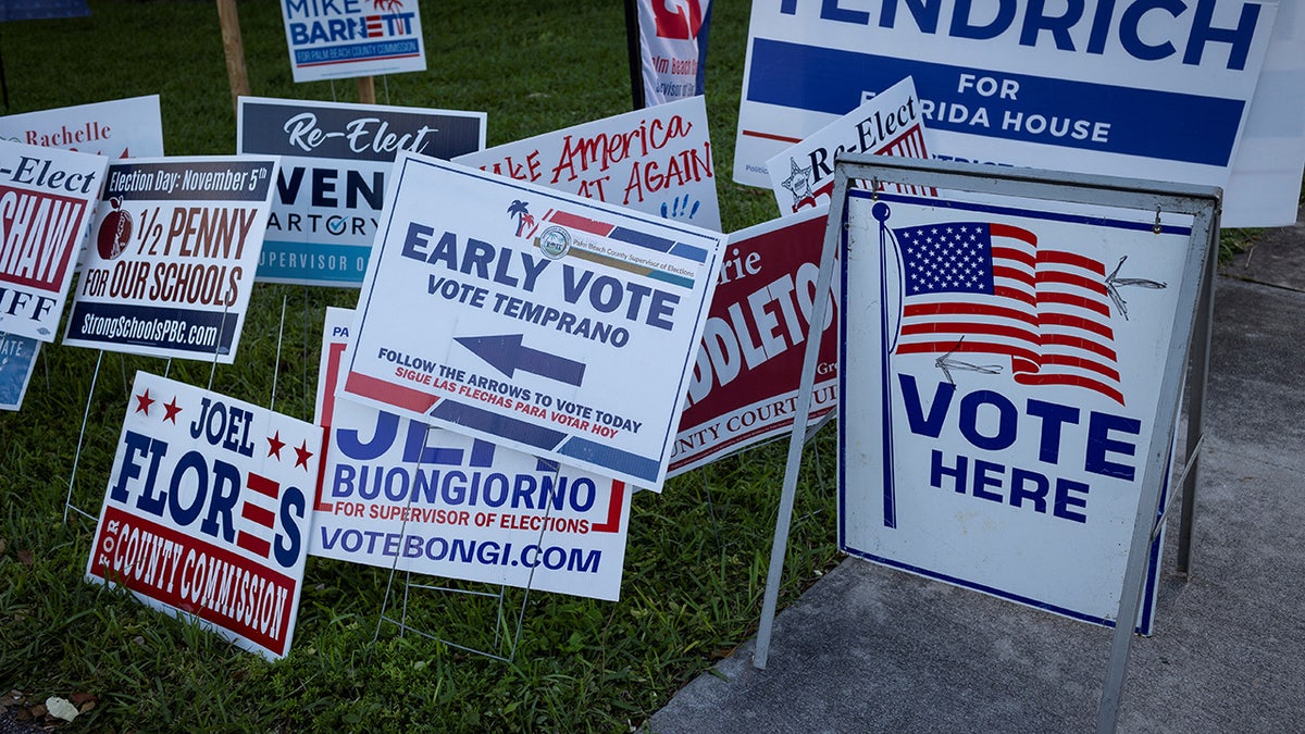 Voting and campaign signs grouped together