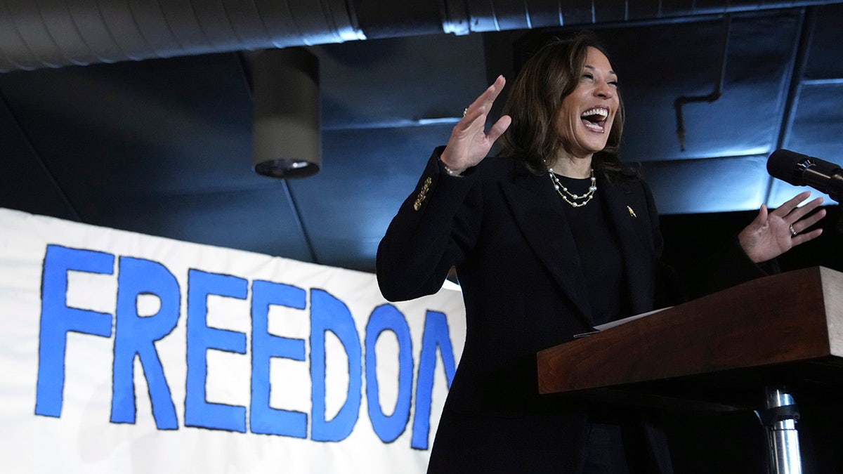 Kamala Harris speaks during a campaign rally at Montage Mountain Resort in Scranton, Pennsylvania