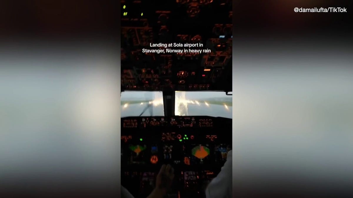 Flight attendant's video goes viral 