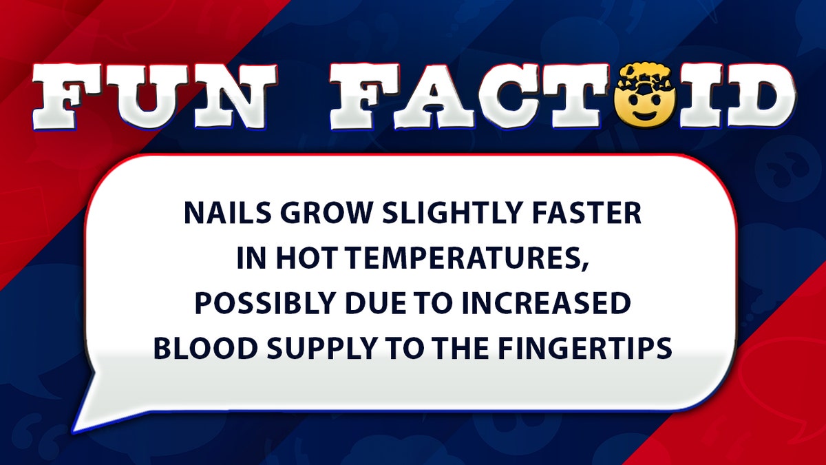 Fun Facts: Nails grow faster during the summer