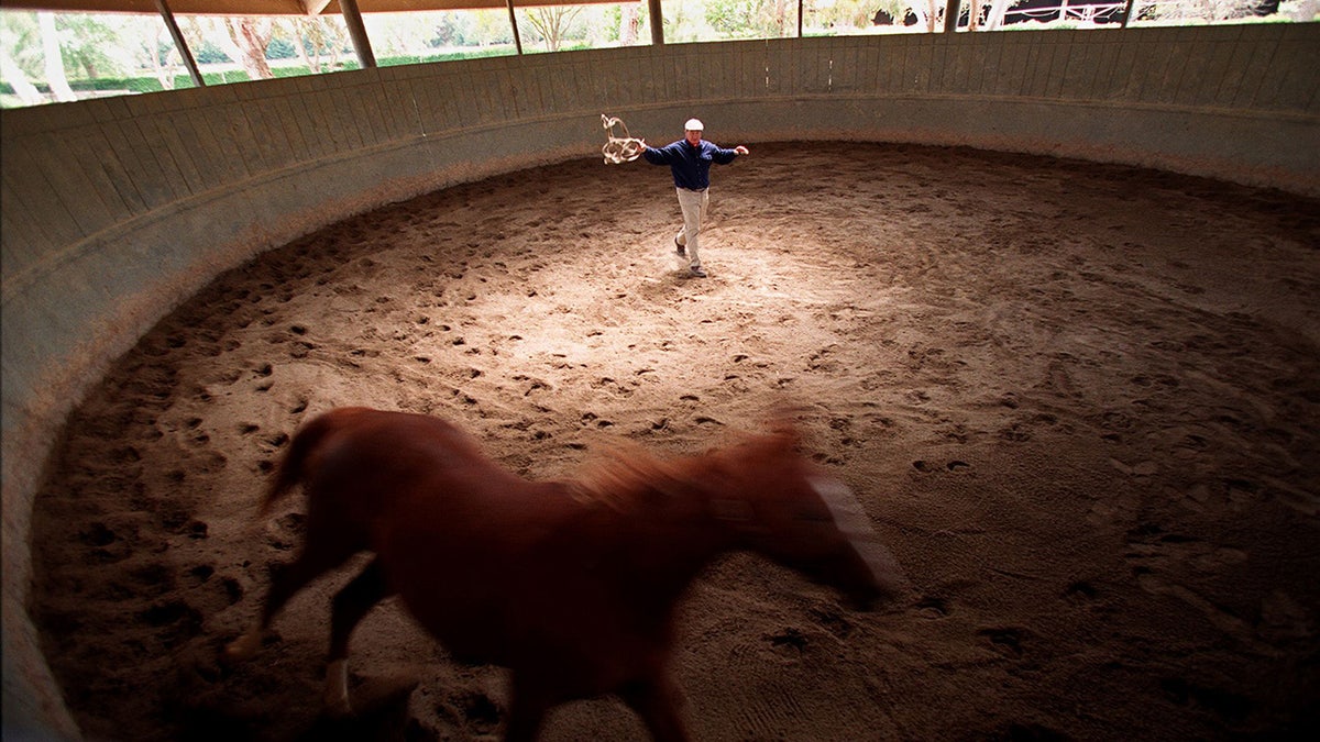 Monty Roberts in a pen with a horse.