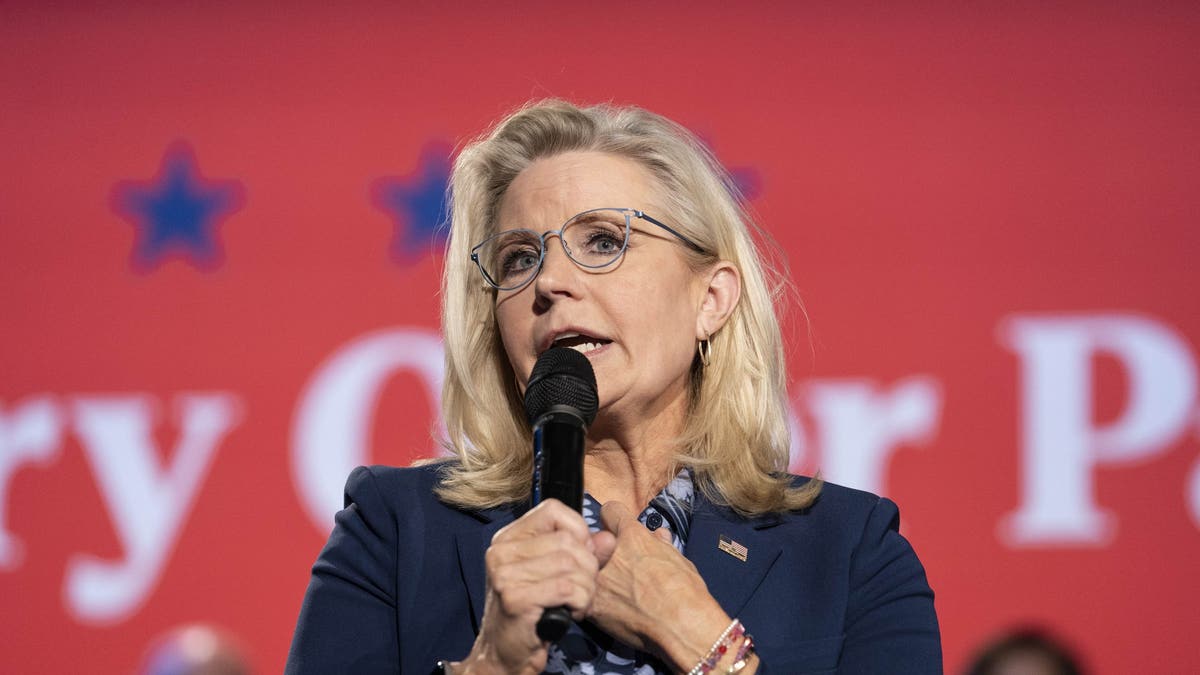 Liz Cheney closeup shot