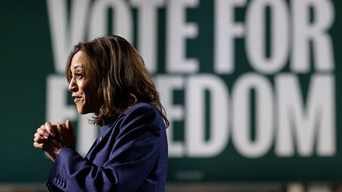 Kamala Harris profile shot speaking at a rally