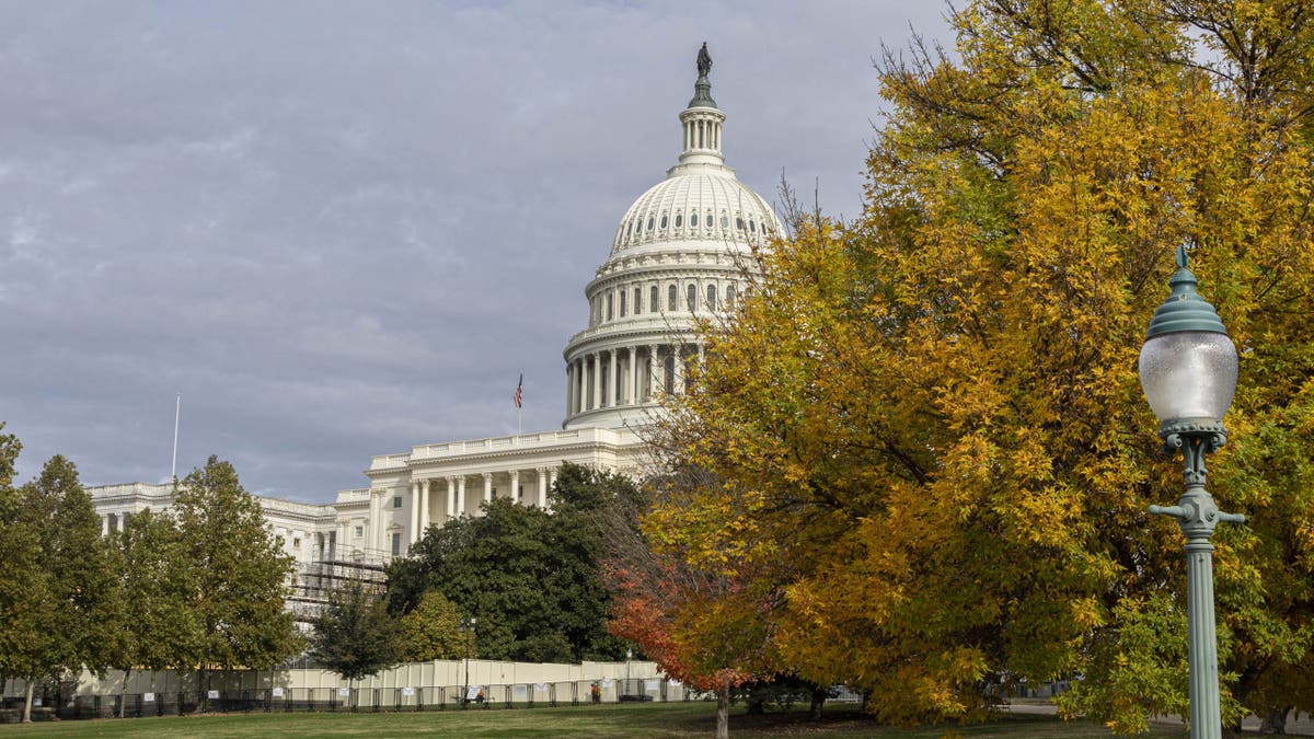 Capitol gathering  earlier  Election Day 