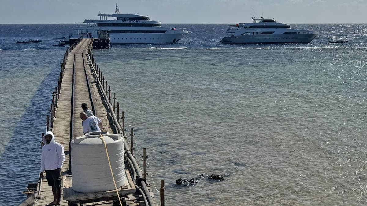 Boote im Hafen