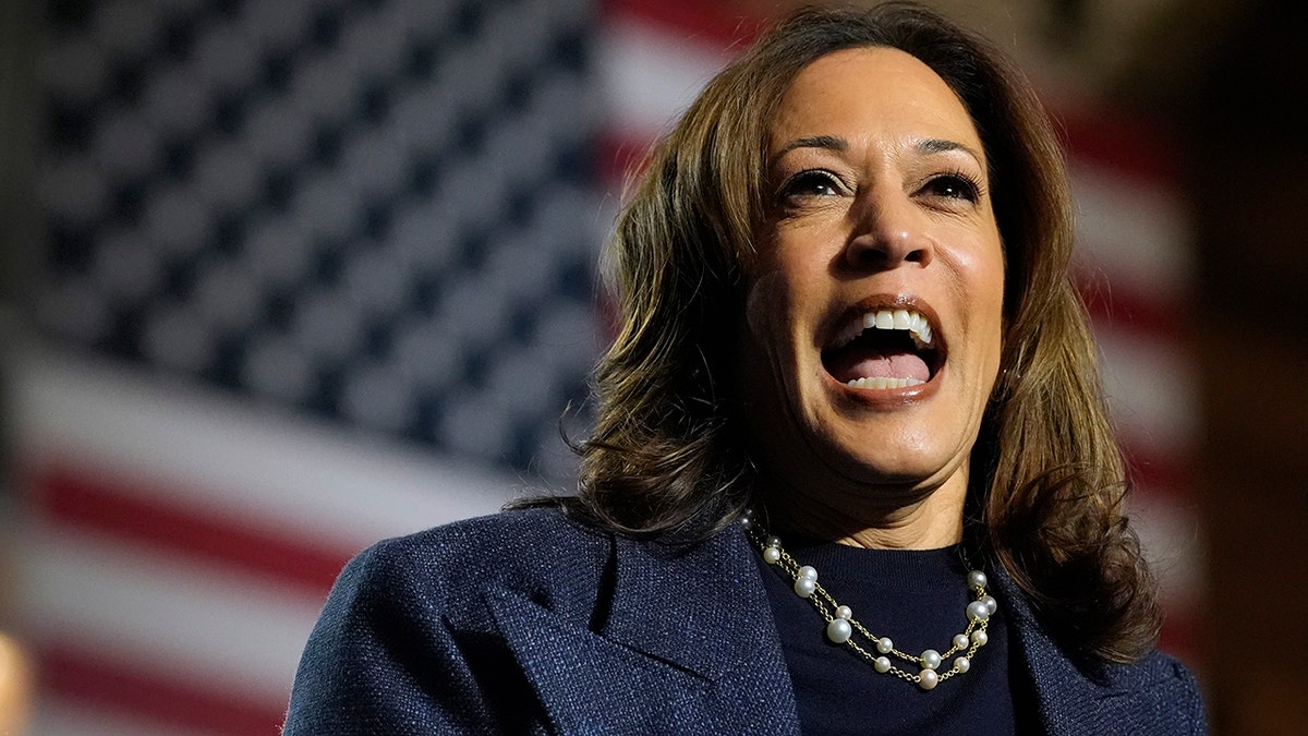 vice president kamala harris