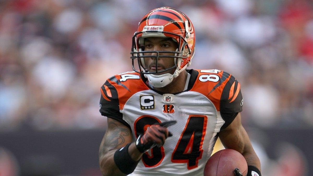 TJ Houshmandzadeh with ball