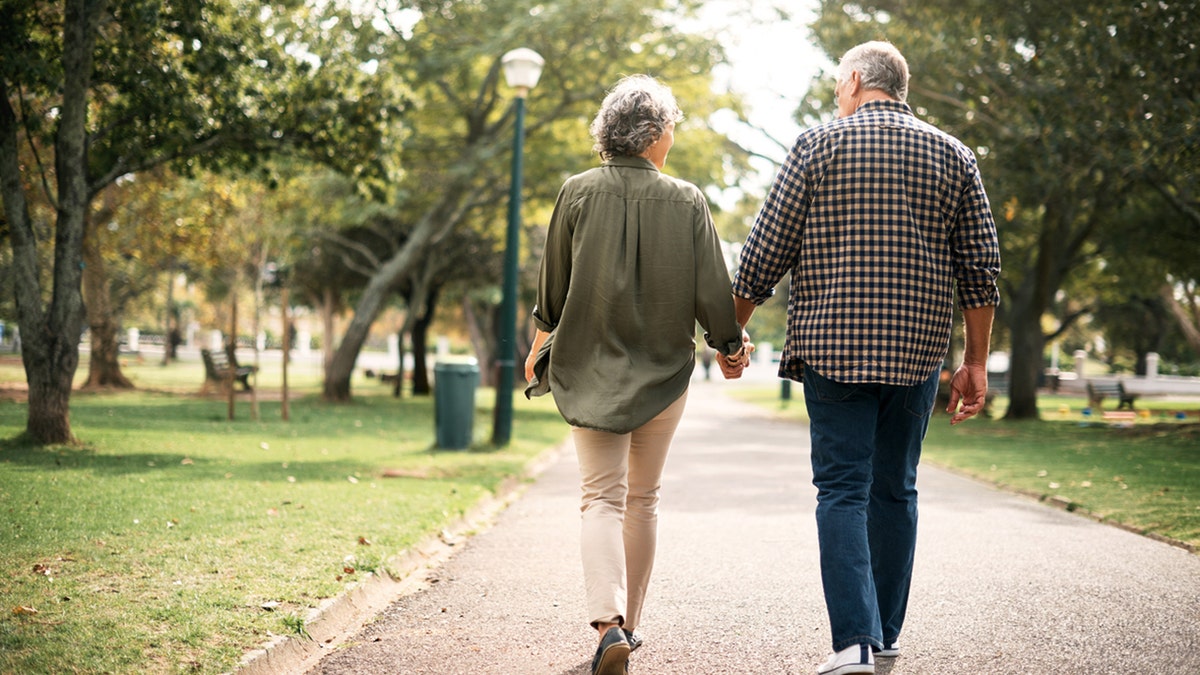 Rear view of a senior couple going for a walk in the park