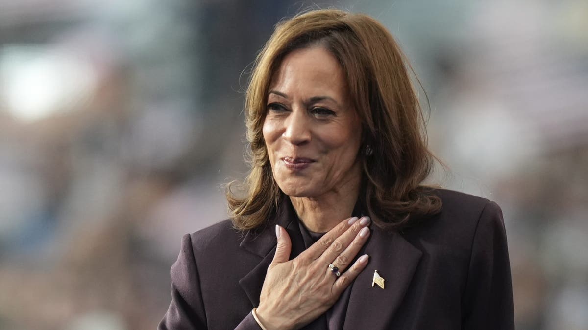 Could Vice President Kamala Harris make a run for California governor