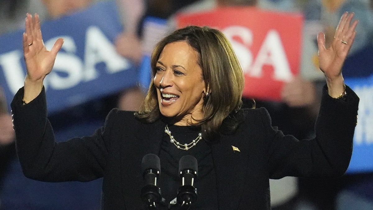 Democratic presidential candidate Vice President Kamala Harris speaks during a campaign rally at Carrie Blast Furnaces in Pittsburgh, Monday, Nov. 4, 2024. (AP Photo/Gene J. Puskar)