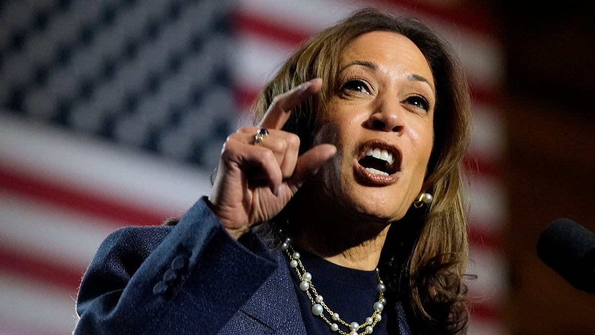 The 5 fatal mistakes that doomed Harris' campaign against Trump Fox News